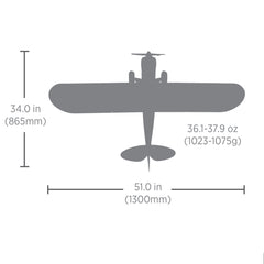 Carbon Cub S 2 1.3m Cleetus McFarland Special Edition RTF Basic